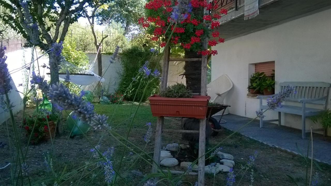 B&B Teranga Montecarotto Екстериор снимка