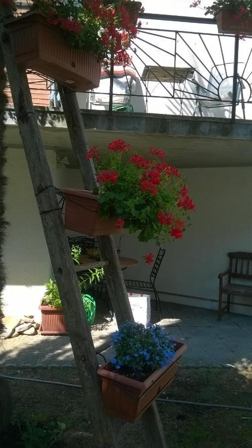 B&B Teranga Montecarotto Екстериор снимка