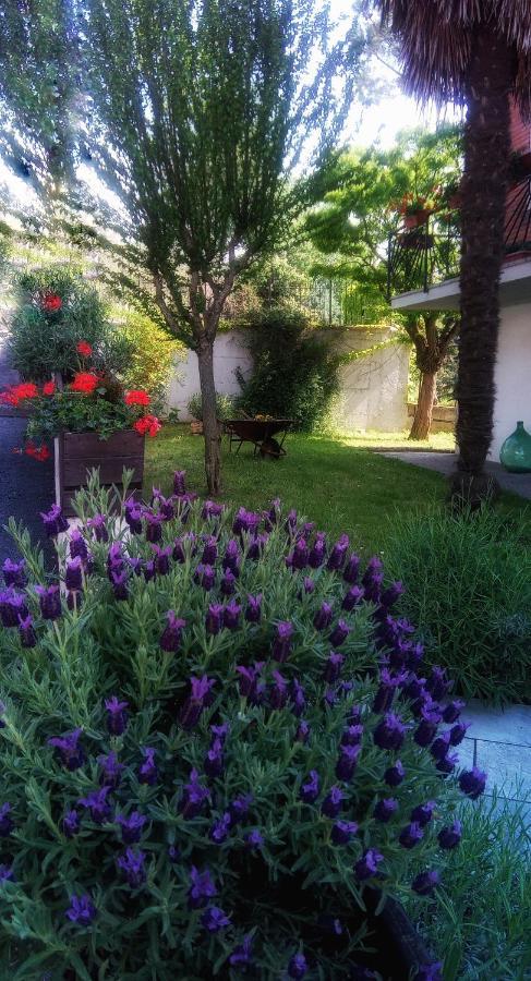 B&B Teranga Montecarotto Екстериор снимка